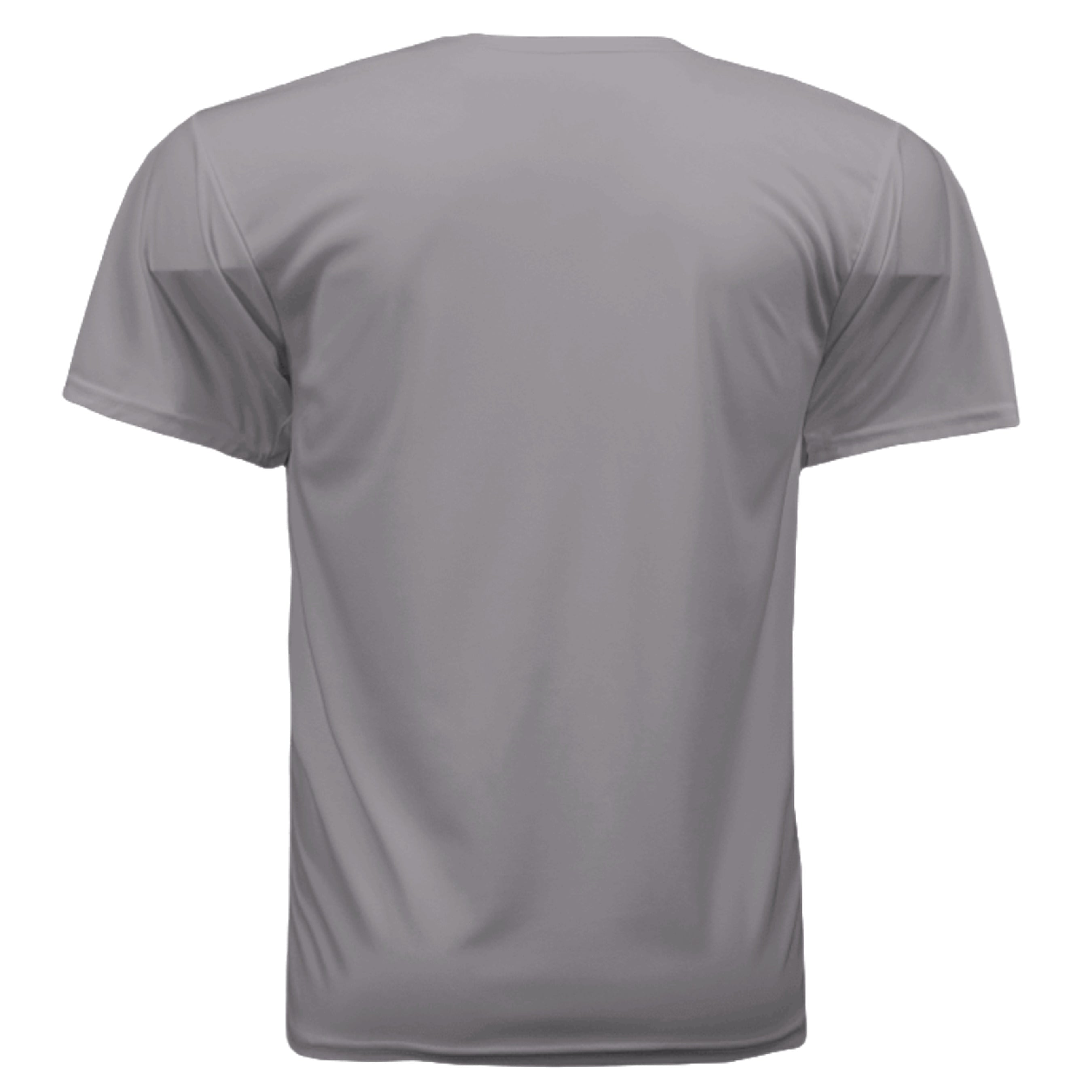 Silver - 790 - BACK